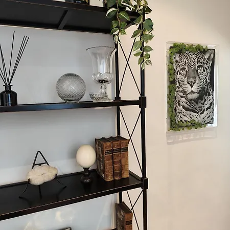 Apartment F&c House *